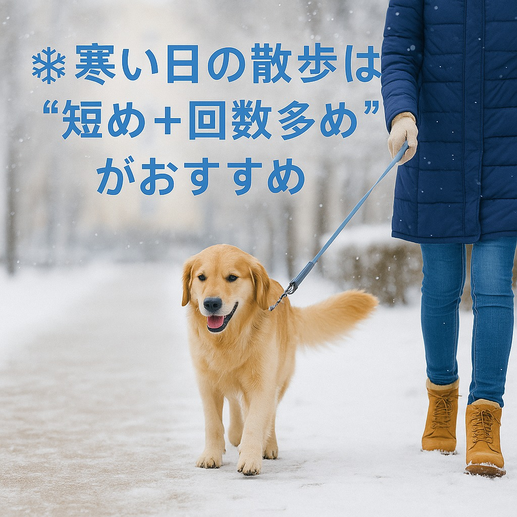 🐾【ペットシッターの豆知識】