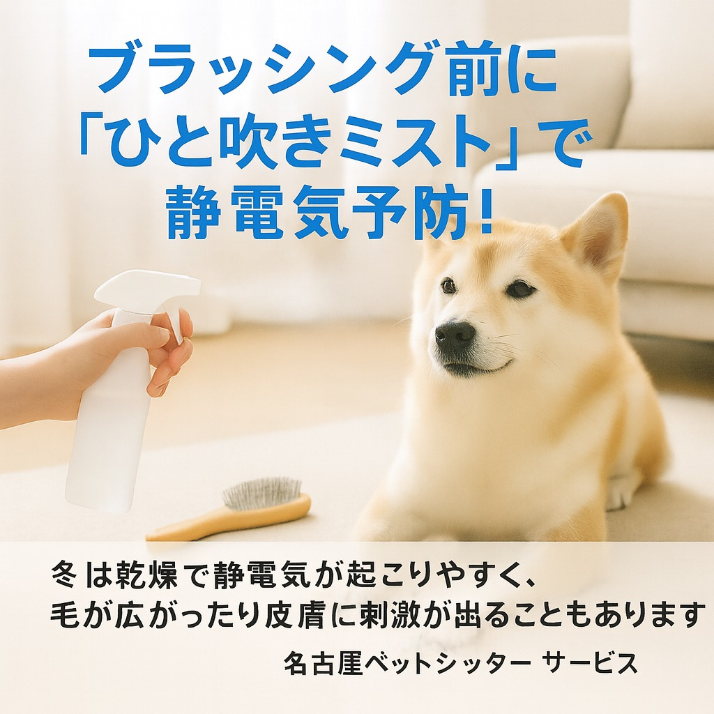 🐾【ペットシッターの豆知識】